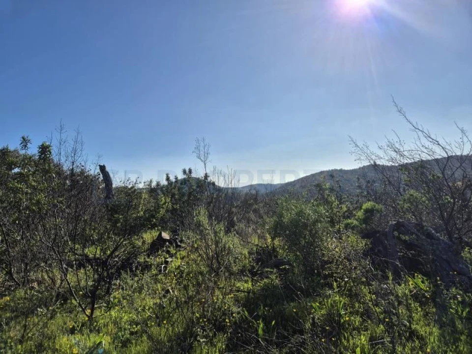 Terreno para Venda em Salir Foto 8