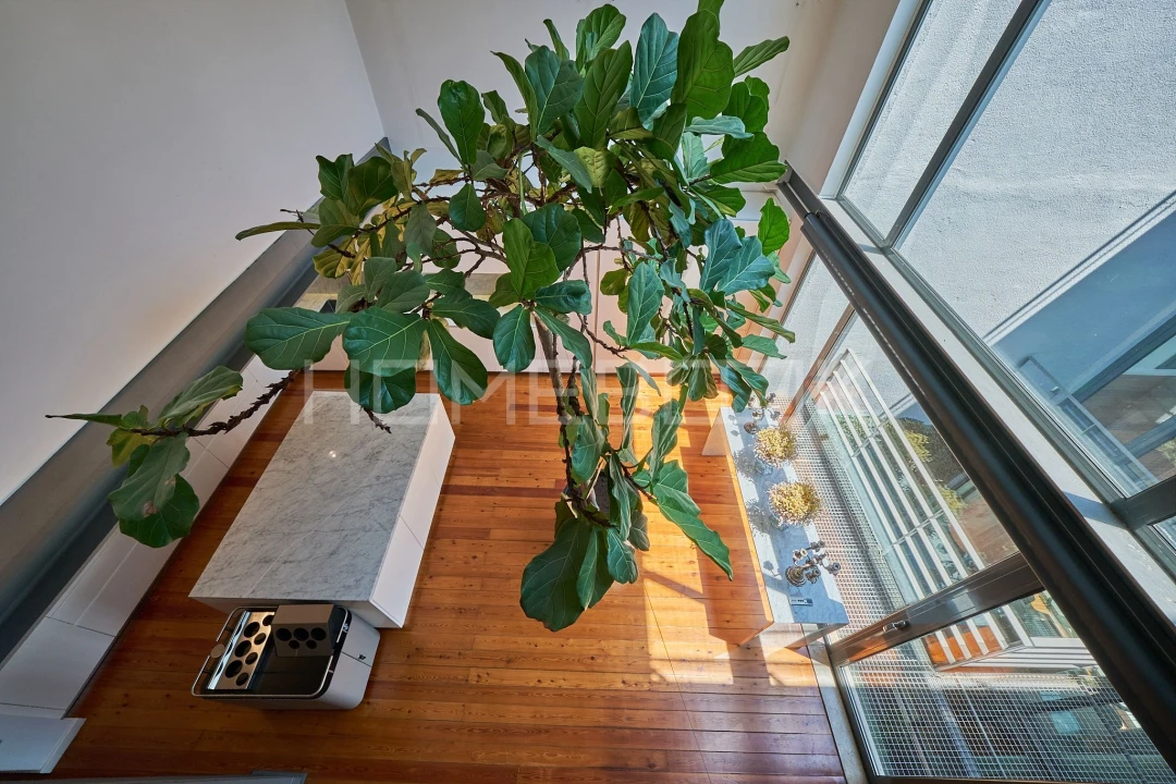 Apartamento T1 para Venda em Estrela Foto 16
