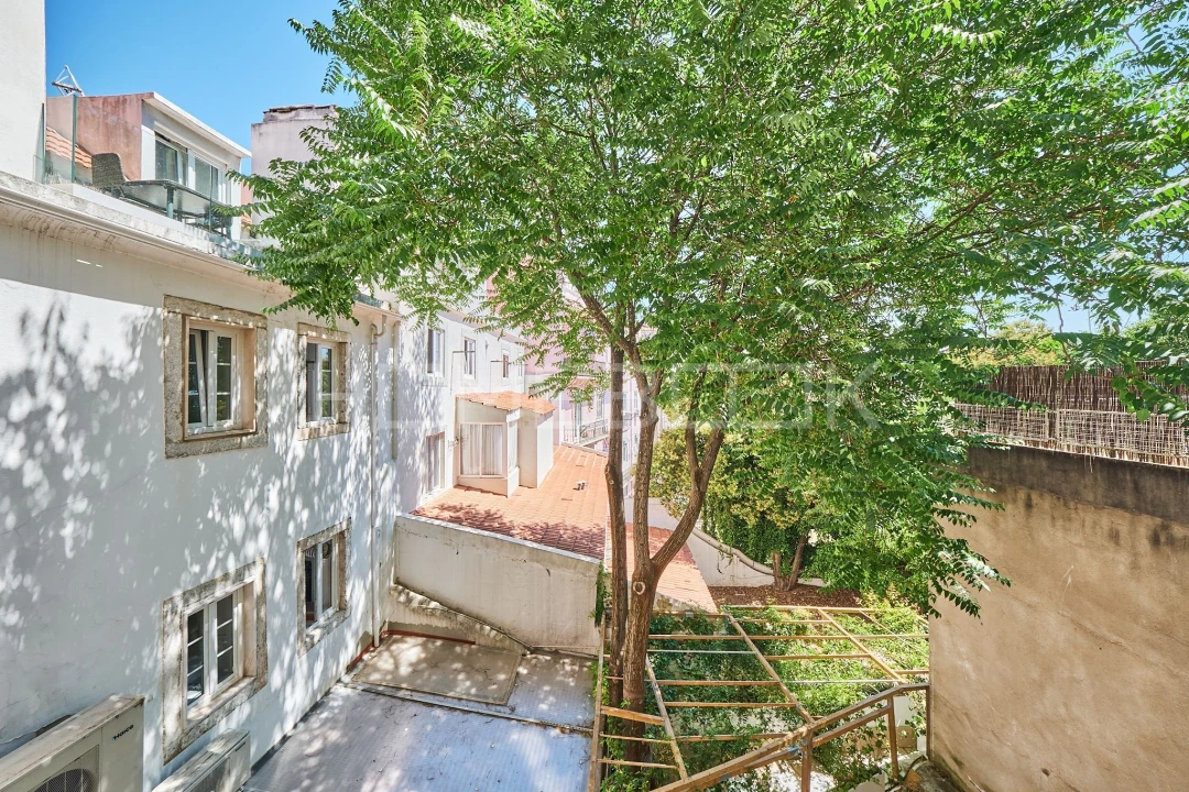 Apartamento T1 para Venda em Santo António Foto 1