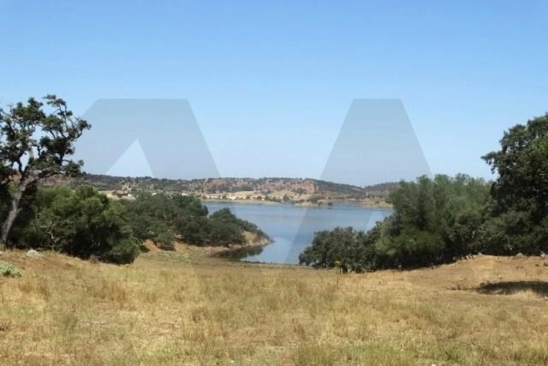 Terreno para Venda em Ourique Foto 1