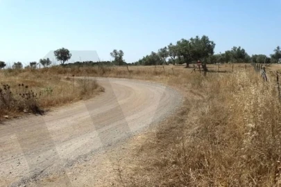 Terreno para Venda em Ourique