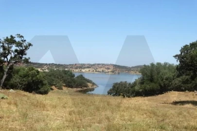 Terreno para Venda em Ourique
