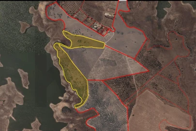 Terreno para Venda em Ourique