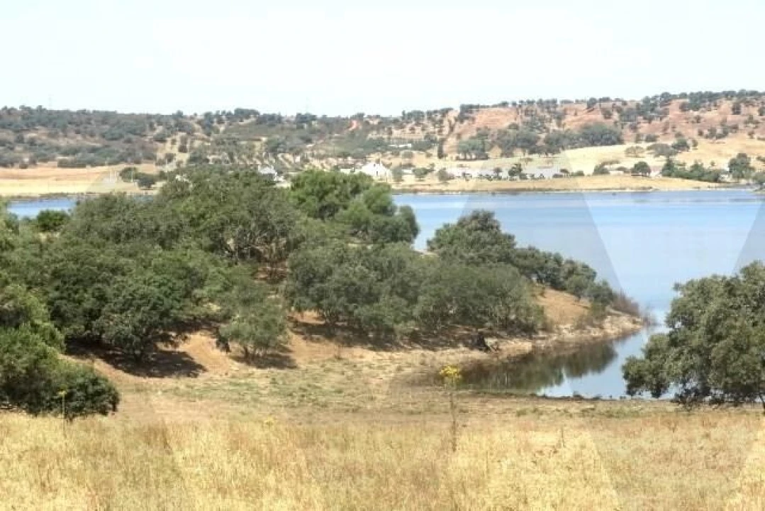 Terreno para Venda em Ourique Foto 2