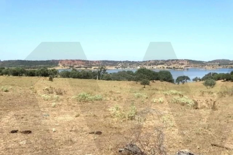 Terreno para Venda em Ourique Foto 4