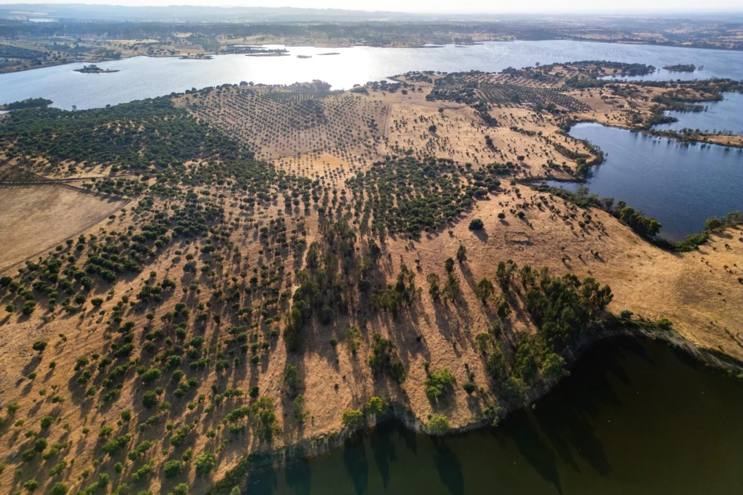 Terreno para Venda em Ourique Foto 9