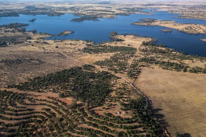 Terreno para Venda em Ourique