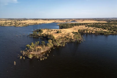 Terreno para Venda em Ourique