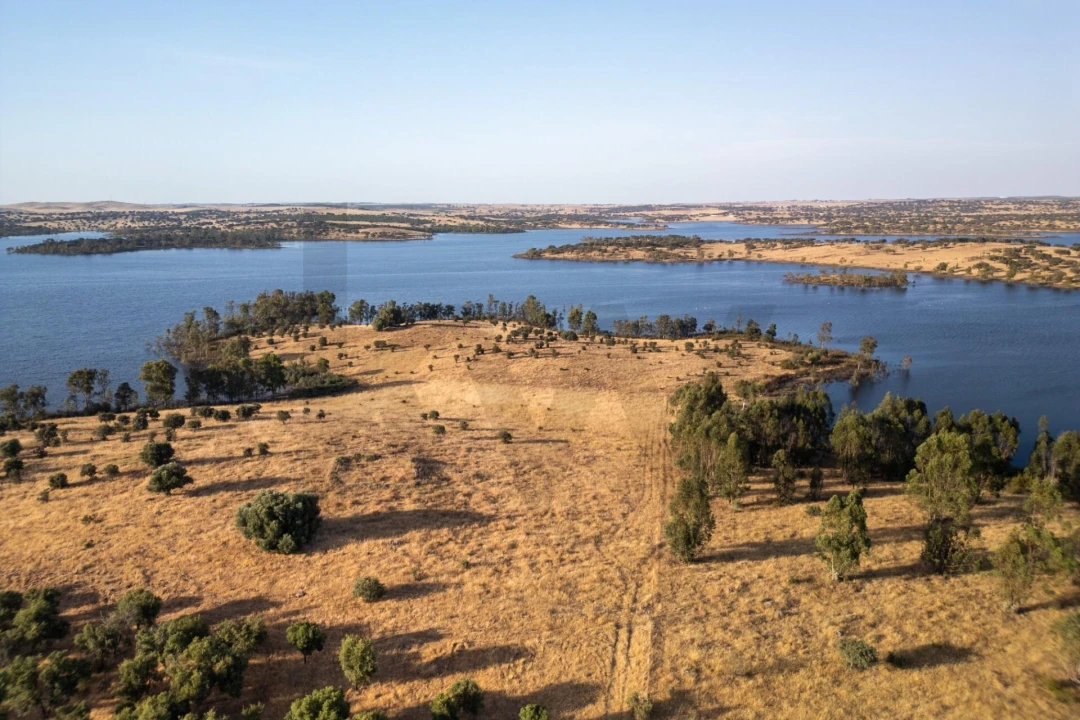 Terreno para Venda em Ourique Foto 13