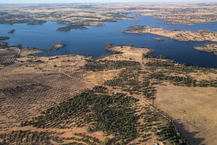 Terreno para Venda em Ourique Foto 10