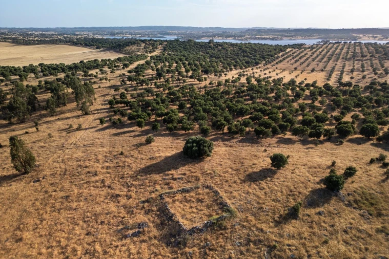 Terreno para Venda em Ourique Foto 8