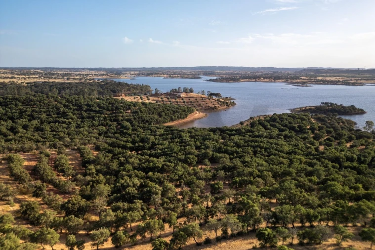 Terreno para Venda em Ourique Foto 12
