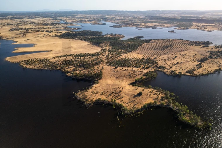 Terreno para Venda em Ourique Foto 7