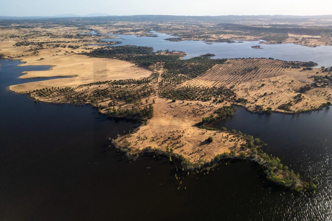 Terreno para Venda em Ourique Foto 7