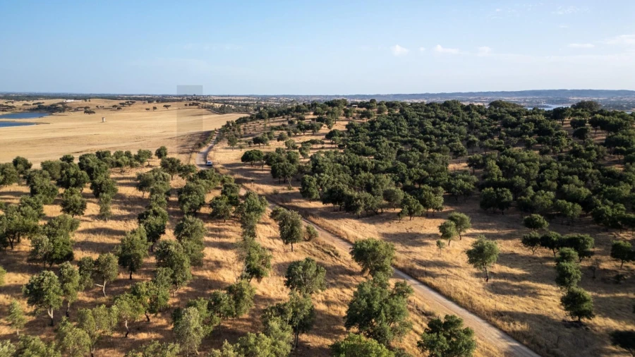 Terreno para Venda em Ourique