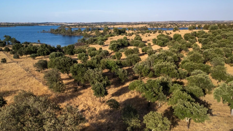 Terreno para Venda em Ourique
