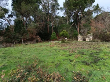 Terreno Agricola ou Rústico para Venda em Pinhanços