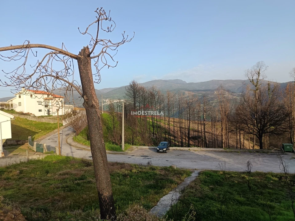 Terreno para Venda em Torrozelo e Folhadosa Foto 4