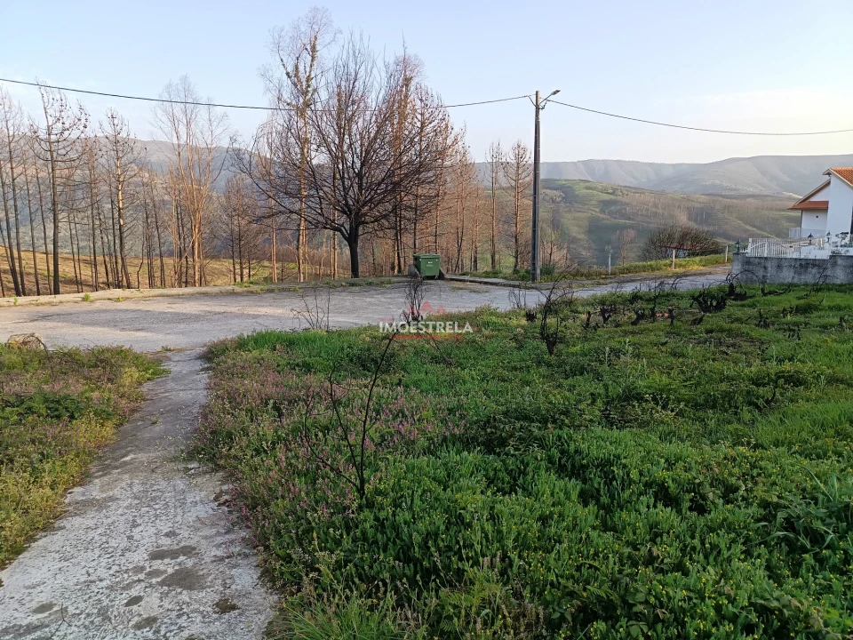Terreno para Venda em Torrozelo e Folhadosa Foto 3
