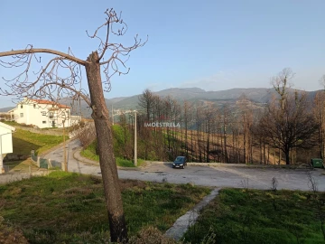 Terreno para Venda em Torrozelo e Folhadosa