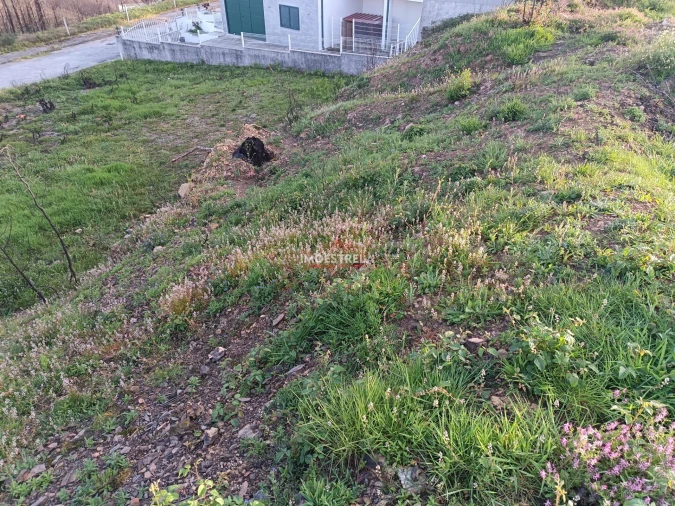 Terreno para Venda em Torrozelo e Folhadosa Foto 9