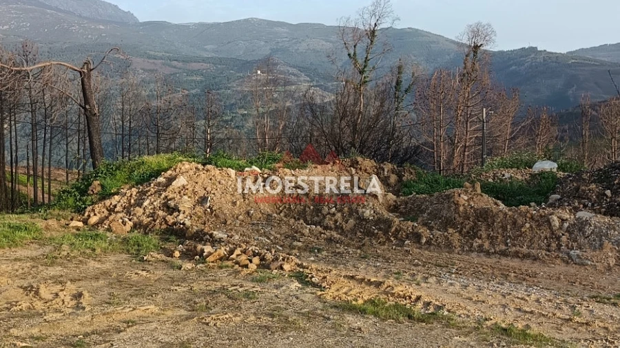 Terreno para Venda em Torrozelo e Folhadosa