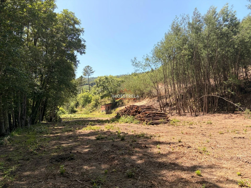 Quinta T0 para Venda em Sandomil Foto 8