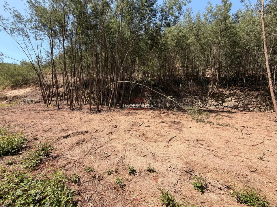 Quinta T0 para Venda em Sandomil Foto 12
