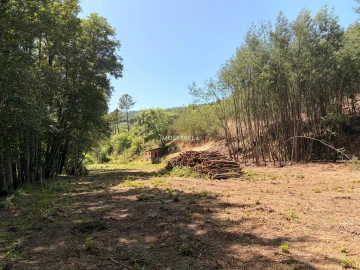 Quinta T0 para Venda em Sandomil