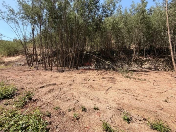 Quinta T0 para Venda em Sandomil