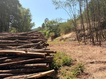Quinta T0 para Venda em Sandomil