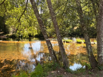 Quinta T0 para Venda em Sandomil