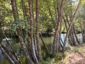 Quinta T0 para Venda em Sandomil