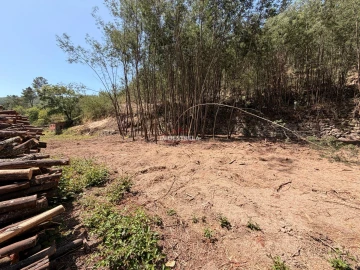 Quinta T0 para Venda em Sandomil