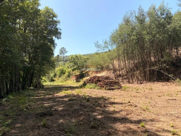 Quinta T0 para Venda em Sandomil