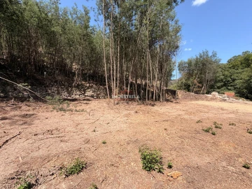 Quinta T0 para Venda em Sandomil