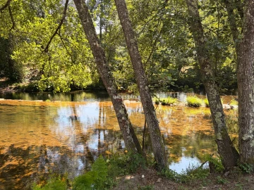 Quinta T0 para Venda em Sandomil