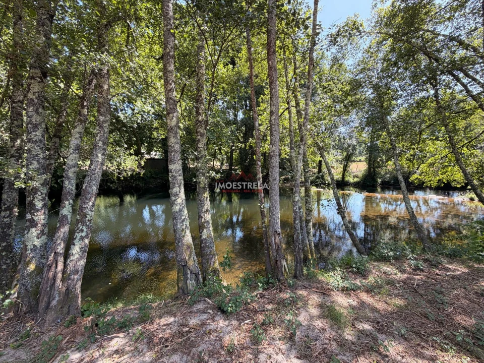 Quinta T0 para Venda em Sandomil Foto 2