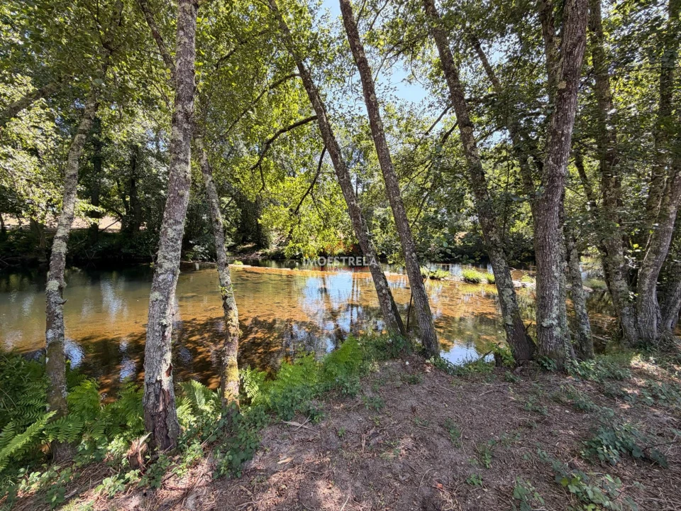 Quinta T0 para Venda em Sandomil Foto 6