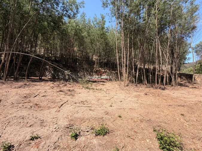 Quinta T0 para Venda em Sandomil Foto 13