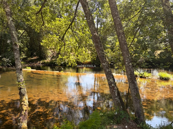 Quinta T0 para Venda em Sandomil Foto 5