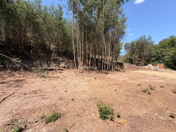 Quinta T0 para Venda em Sandomil Foto 14