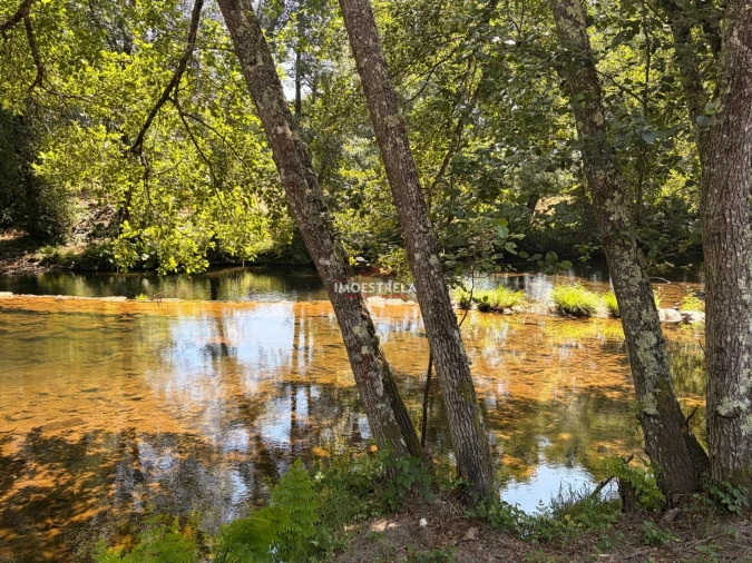 Quinta T0 para Venda em Sandomil Foto 4