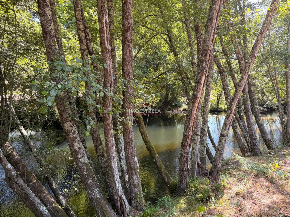 Quinta T0 para Venda em Sandomil Foto 1