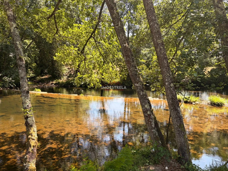 Quinta T0 para Venda em Sandomil Foto 5