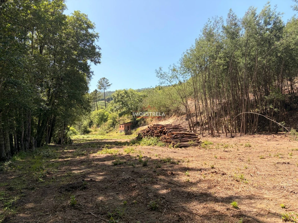 Quinta T0 para Venda em Sandomil Foto 7