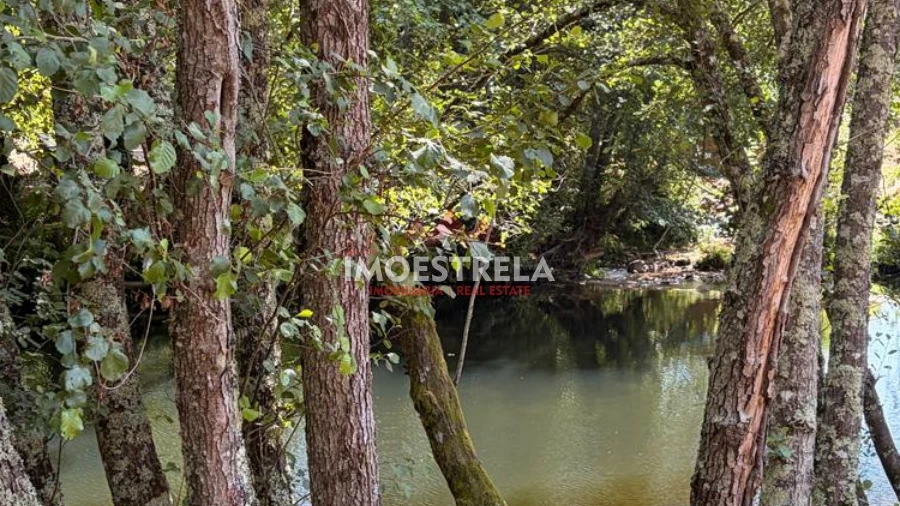 Quinta T0 para Venda em Sandomil