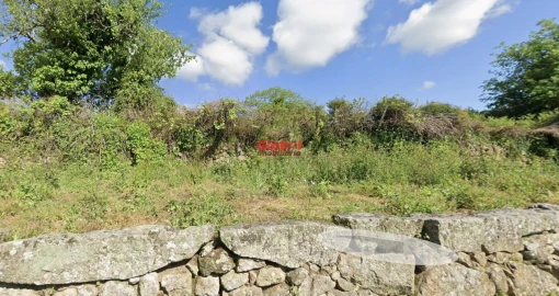 Terreno para Venda em São Cipriano e Vil de Souto