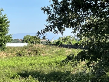 Terreno para Venda em Orgens