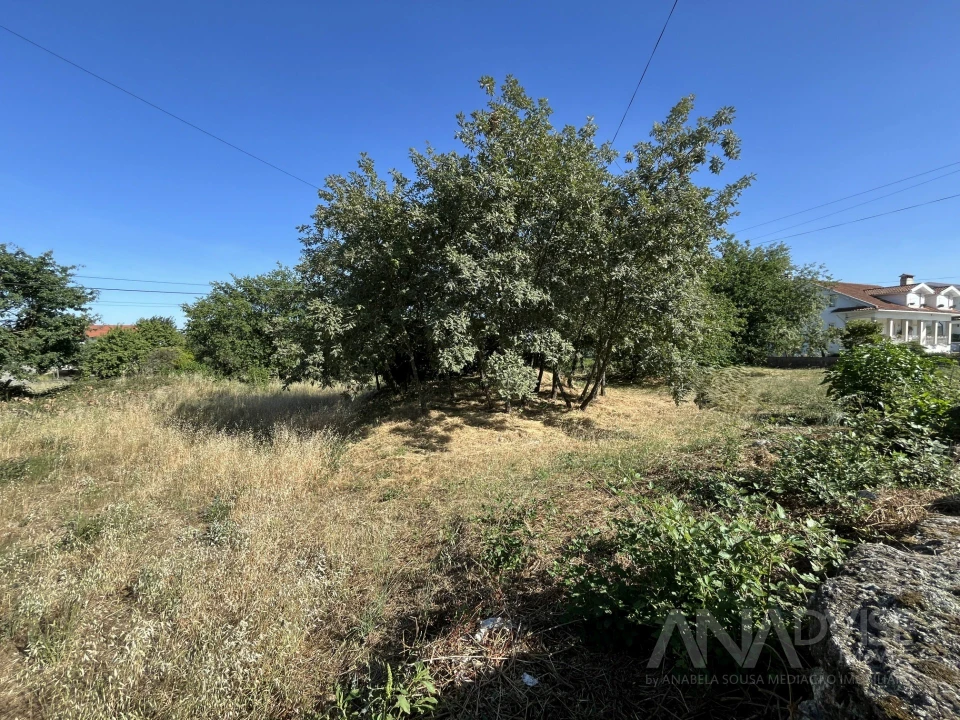 Terreno para Venda em Orgens Foto 11